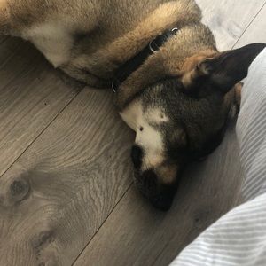 Meet your Posher, Brianne